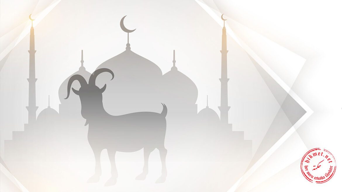 kurban-fiyatlandırma-vacip-nafile