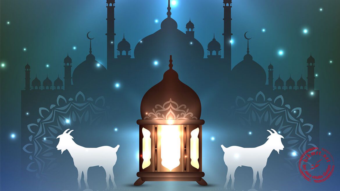 kurban-oğlak-keçi-adak