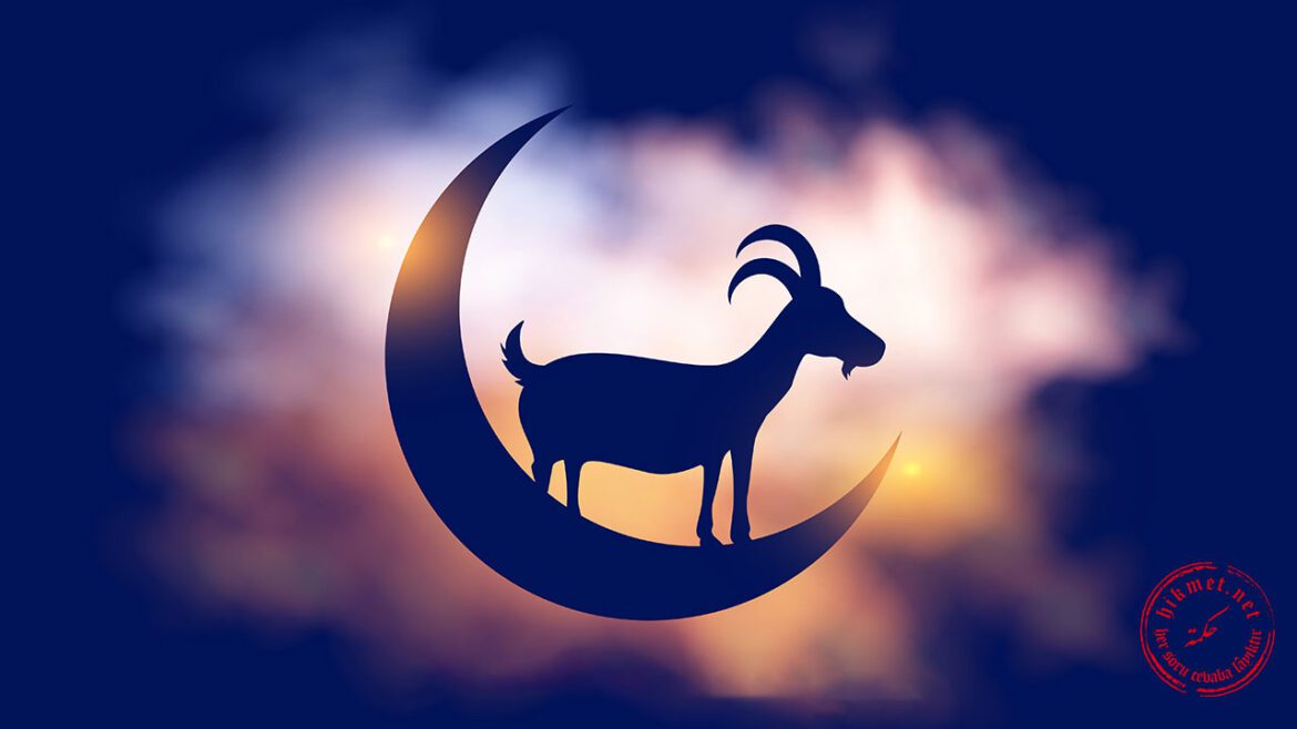 kurban,-şoklama