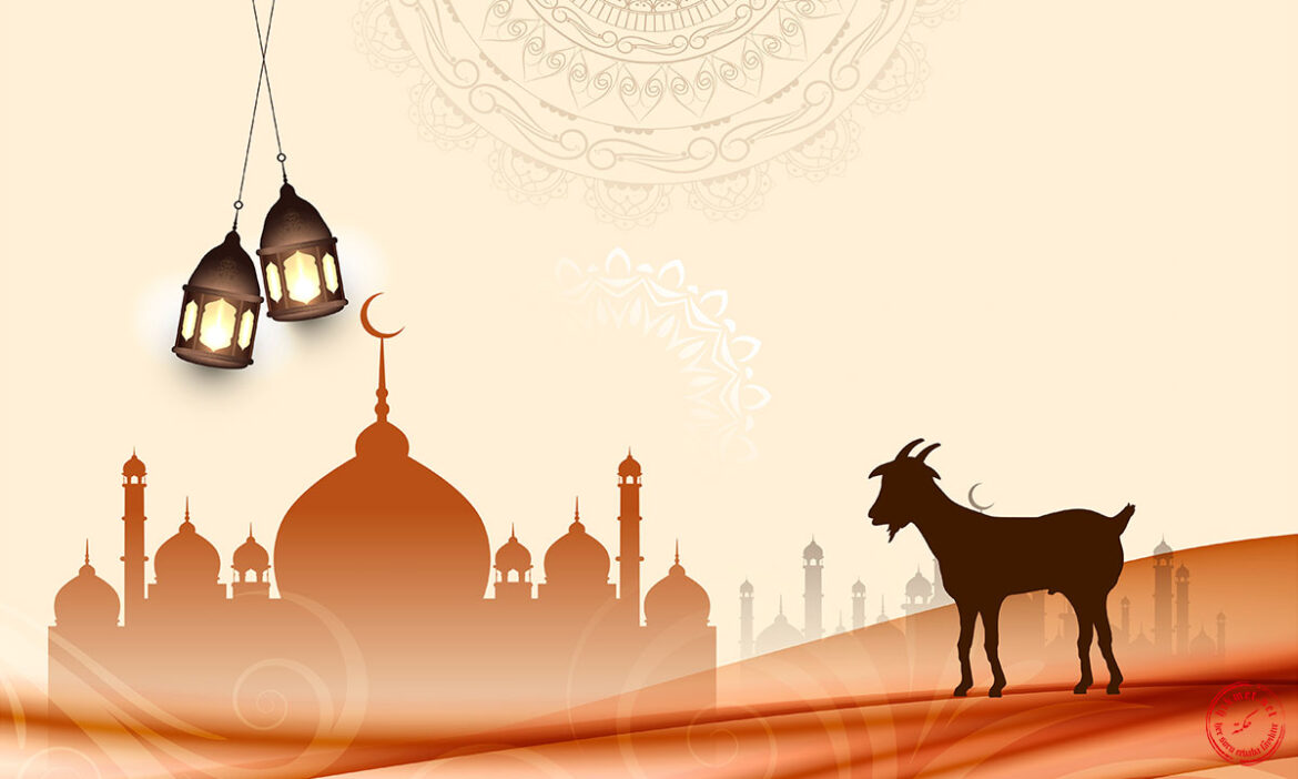 kurban-udhiyye-