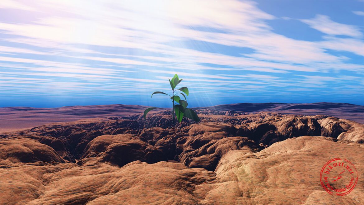 peygamberimizin-mucizeleri,-ayın-bölünmesi,-miraç