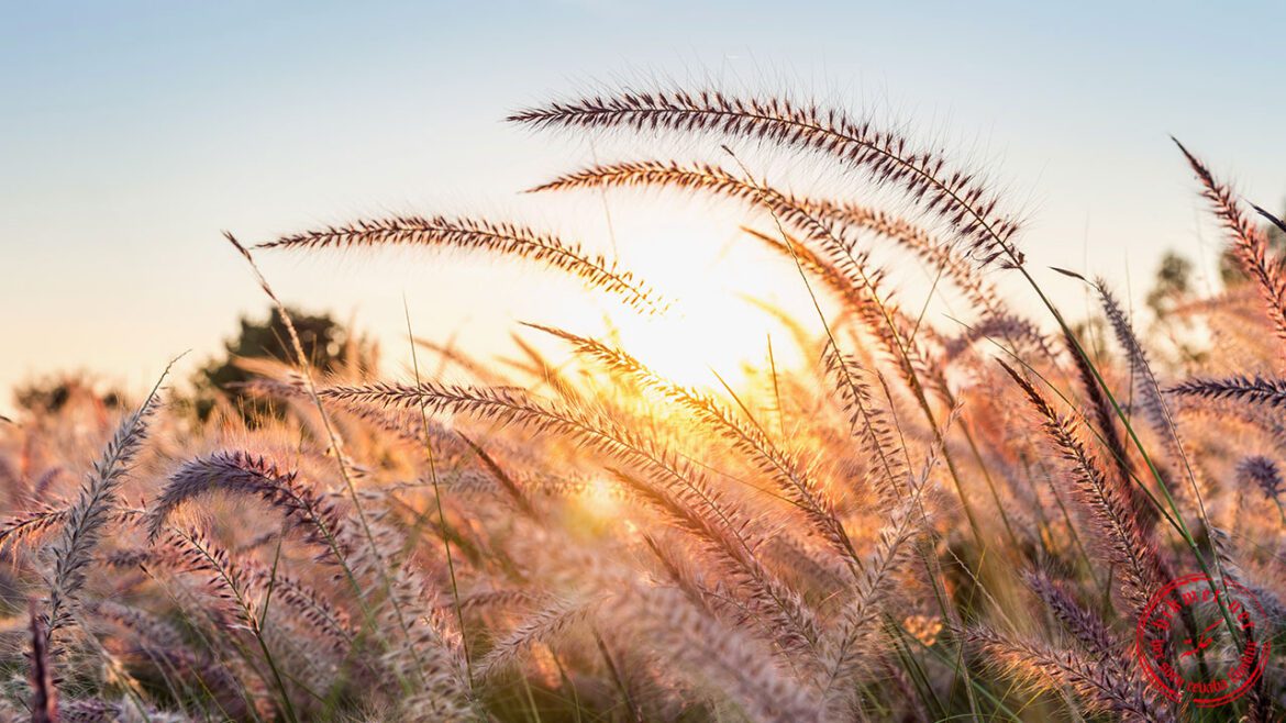 temizlik,-iman,-ibadet