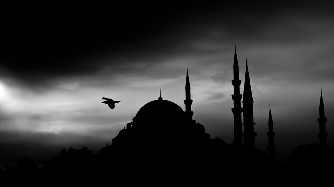 ülfet,-tedavi;leke