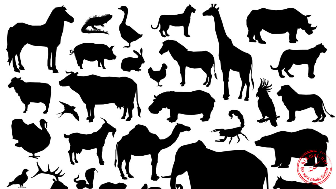 yenilmesi-haram-kılınanlar